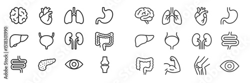 Colored outline icons of human organs and systems arranged in a grid format for educational and health purposes in a modern design