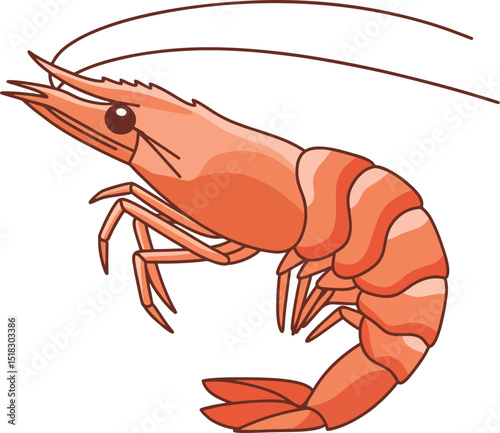 isometric shrimp, vector clean shape.