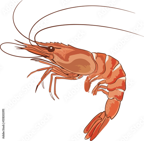 Classic Japanese Style Shrimp Line Art Vector.