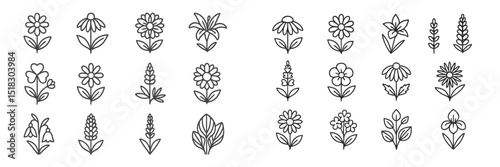 Collection of hand-drawn flower designs showcasing various styles and shapes suitable for creative projects and artistic inspiration