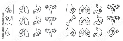 Medical illustrations of various human organs and their interactions with biological elements at an educational setting
