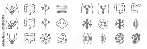 Various anatomical and physiological illustrations depicting human body systems and structures in a clear and informative layout