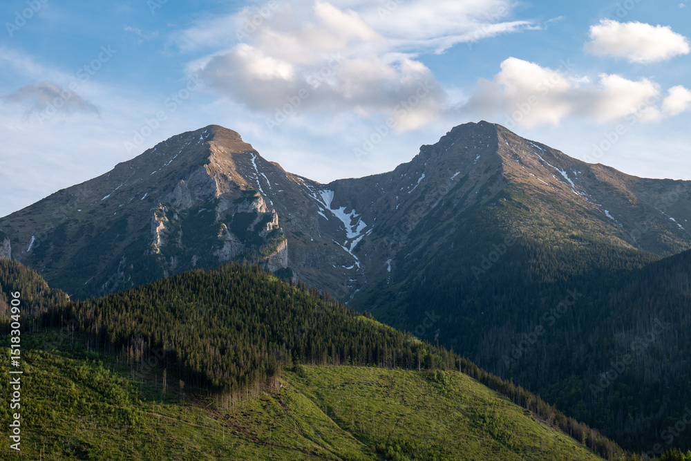 Fototapeta premium View of Ždiarska vidla and Havran peaks in the High Tatras, Slovakia, with forested slopes and green meadows in the foreground, captured near the village of Ždiar.