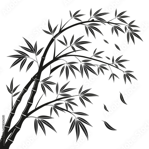 Black and white bamboo branch illustration