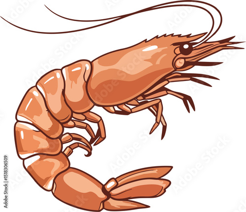 Decorative Shrimp Outline Vector for Packaging Design