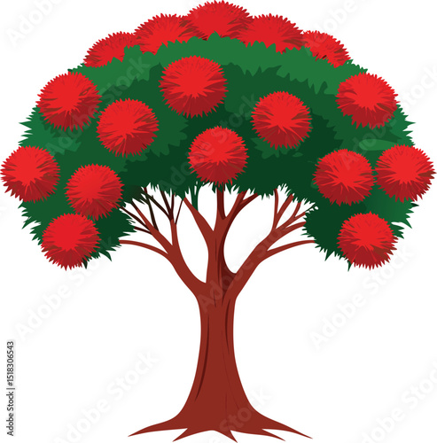 Detailed Red Flowering Pohutukawa Tree Illustration