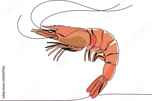 One-Line Shrimp Drawing Minimal Vector Style
