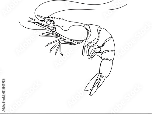 single continuous line shrimp, elegant minimal design