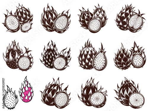 Dragon fruit silhouette vector illustration isolated on white background.