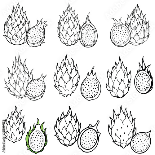 Dragon fruit outline vector illustration isolated on white background.