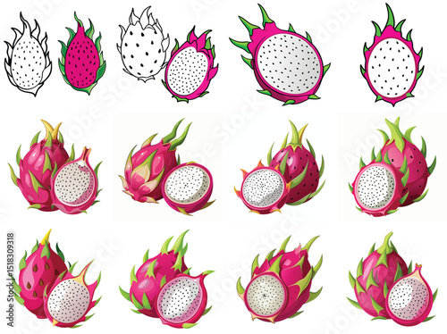 Dragon fruit vector illustration isolated on white background.