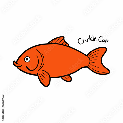 gold fish on white background