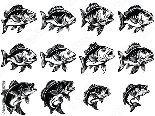 Snapper fish silhouette vector illustration isolated on white background.