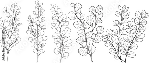 Black and White Botanical Leaf Sketch and vector illustration, Nature Inspired Leaf Outline Art for Print.