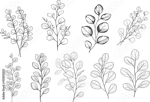 Minimal Line Art Leaves for Wall Decor, Black and White Botanical Leaf Sketch collection.