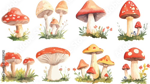 Watercolor Illustration of Different Types of Mushrooms with Red Yellow and Brown Caps Isolated on a White Background Perfect for Botanical or Nature Themed
