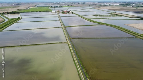 Wallpaper Mural Drone view of Novara’s countryside with flooded rice fields reflecting the sky—iconic of local agricultural land use. Torontodigital.ca