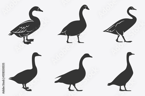 set of geese