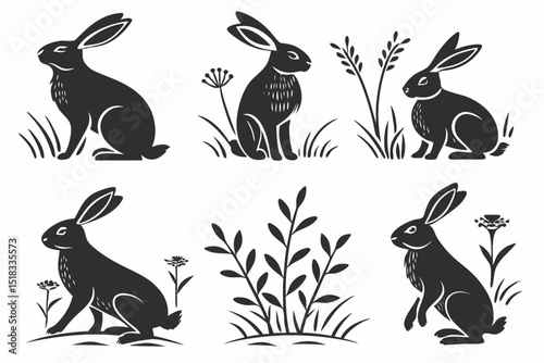 rabbits