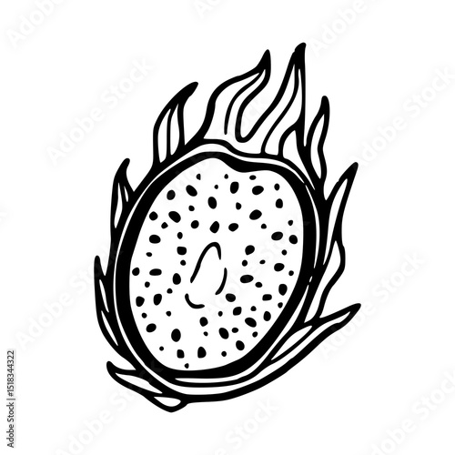 dragon fruit outline icon