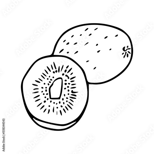 simple hand-drawn kiwi 