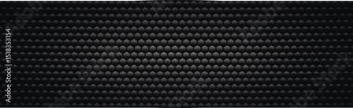 Panoramic texture of black and gray carbon fiber - Vector illustration