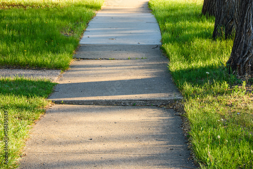 City sidewalk uneven from tree roots creating trip hazard.