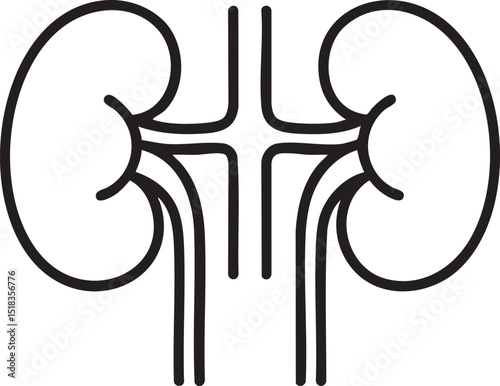Simple Black and White Illustration of Human Kidneys simple line drawing pair human kidneys