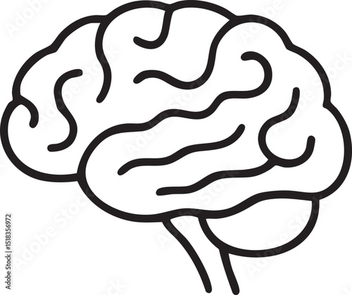 Simple Human Brain Outline Illustration on White Background for Medical or Educational Purposes clean