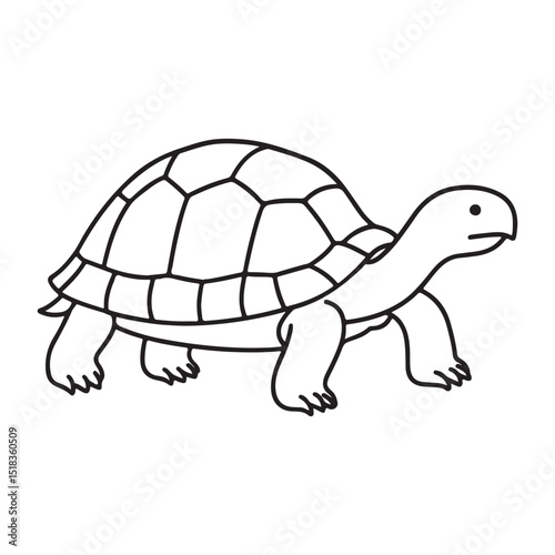 Clean Turtle Outline with Nature Elements