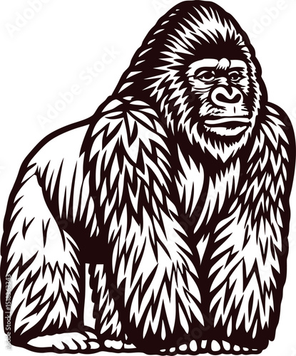 Hand drawn gorilla illustration stylized wild animal with powerful stance and detailed fur linework on white background