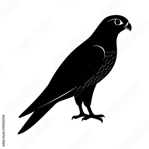 falcon on white background