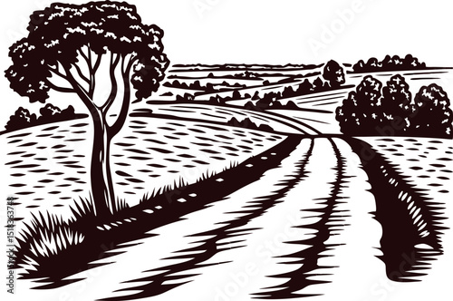 Countryside path and lone tree on rolling hills landscape