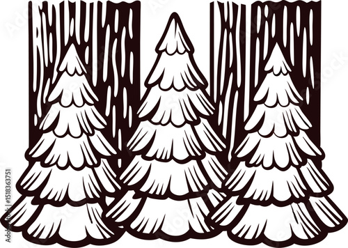 of snow covered evergreen trees in a forest setting
