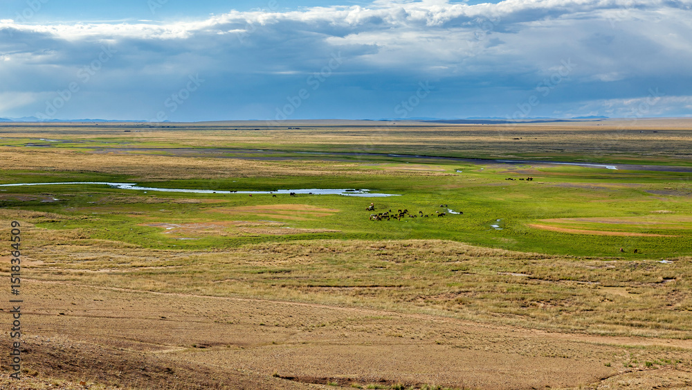 Fototapeta premium The landscape of the Gobi Desert in Mongolia