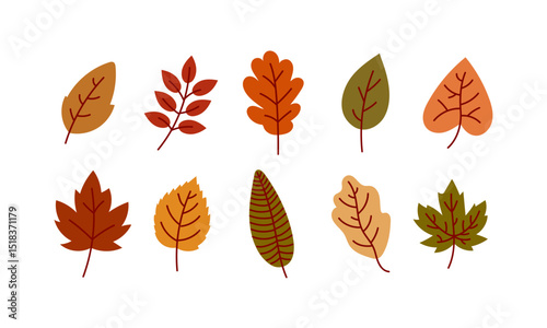  Hand Drawn Autumn Leaves Collection on White Background