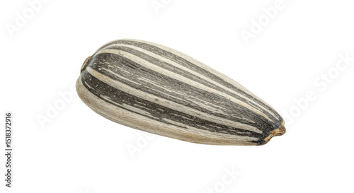 Wallpaper Mural Isolated Sunflower Seed Torontodigital.ca