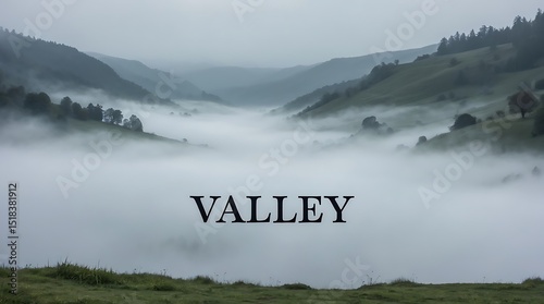 Misty valley with rolling hills and tranquil atmosphere in early morning light