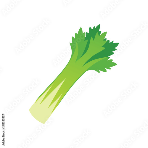 celery vector