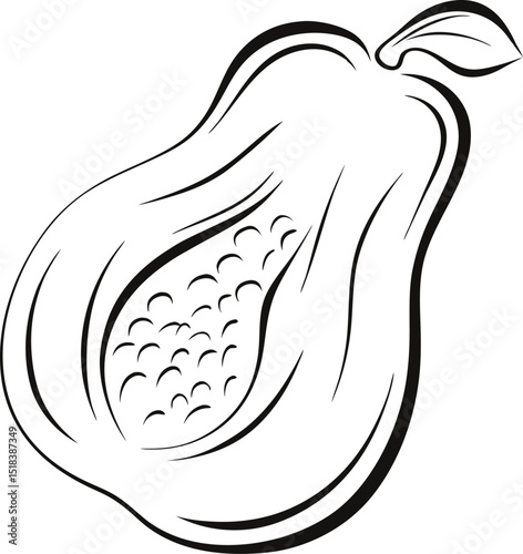 Papaya fruit vector illustration detailed line art design element tropical food