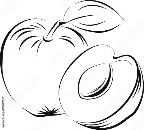 Artistic line drawing of whole and halved plum fruit with leaf