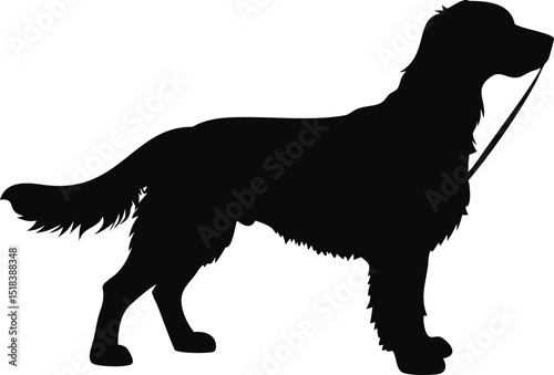 Elegant Dog Silhouette Leash Graphic Design Element