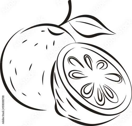 Lemon citrus fruit line art illustration with half slice and leaf