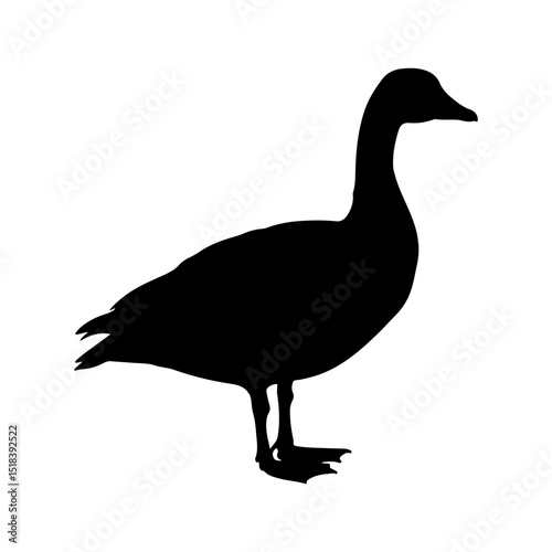 Canadian goose silhouette vector flat illustration design.