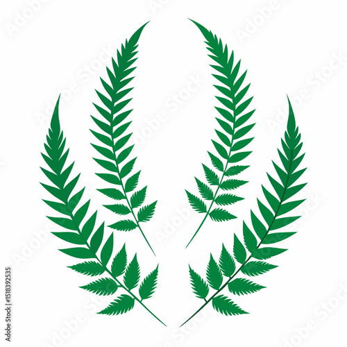 laurel wreath isolated on white
