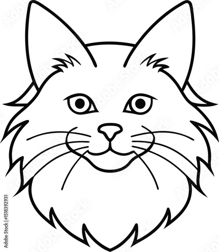 Adorable Fluffy Cat Face Line Art Drawing of a Longhair Cat