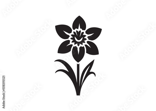 Daffodil flower Silhouette Vector