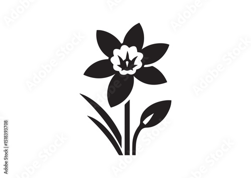 Daffodil flower Silhouette Vector