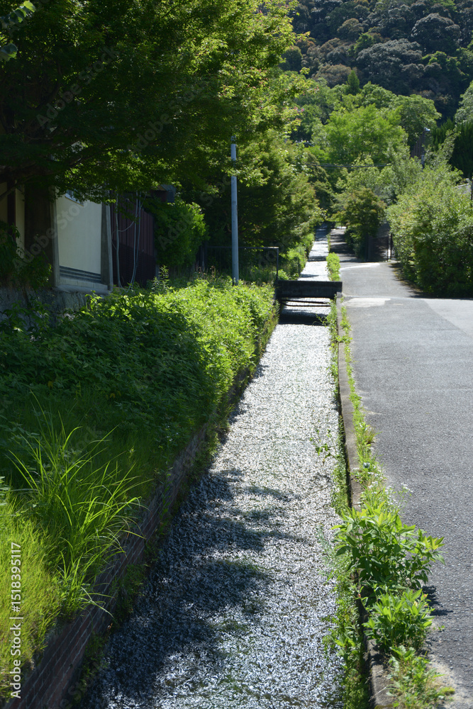 Obraz premium 南禅寺 界隈を流れる琵琶湖疏水 京都市左京区