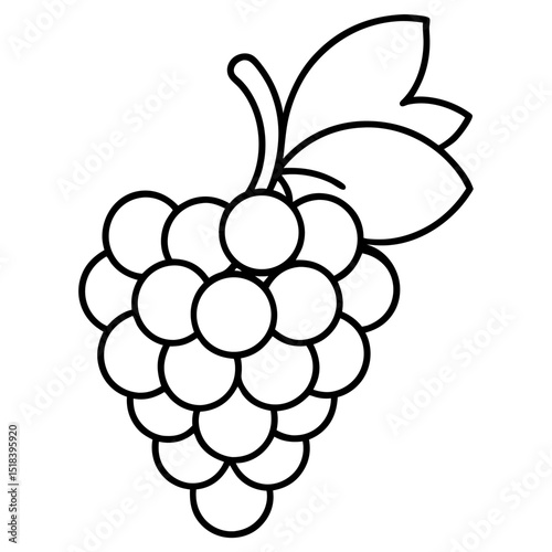 bunch of grapes